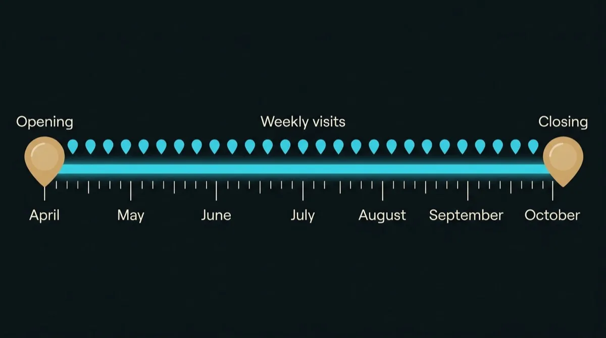 Flat horizontal timeline of a GTA pool season, opening at one end, a band of weekly visits across the middle and closing at the other end, with the months marked from April to October