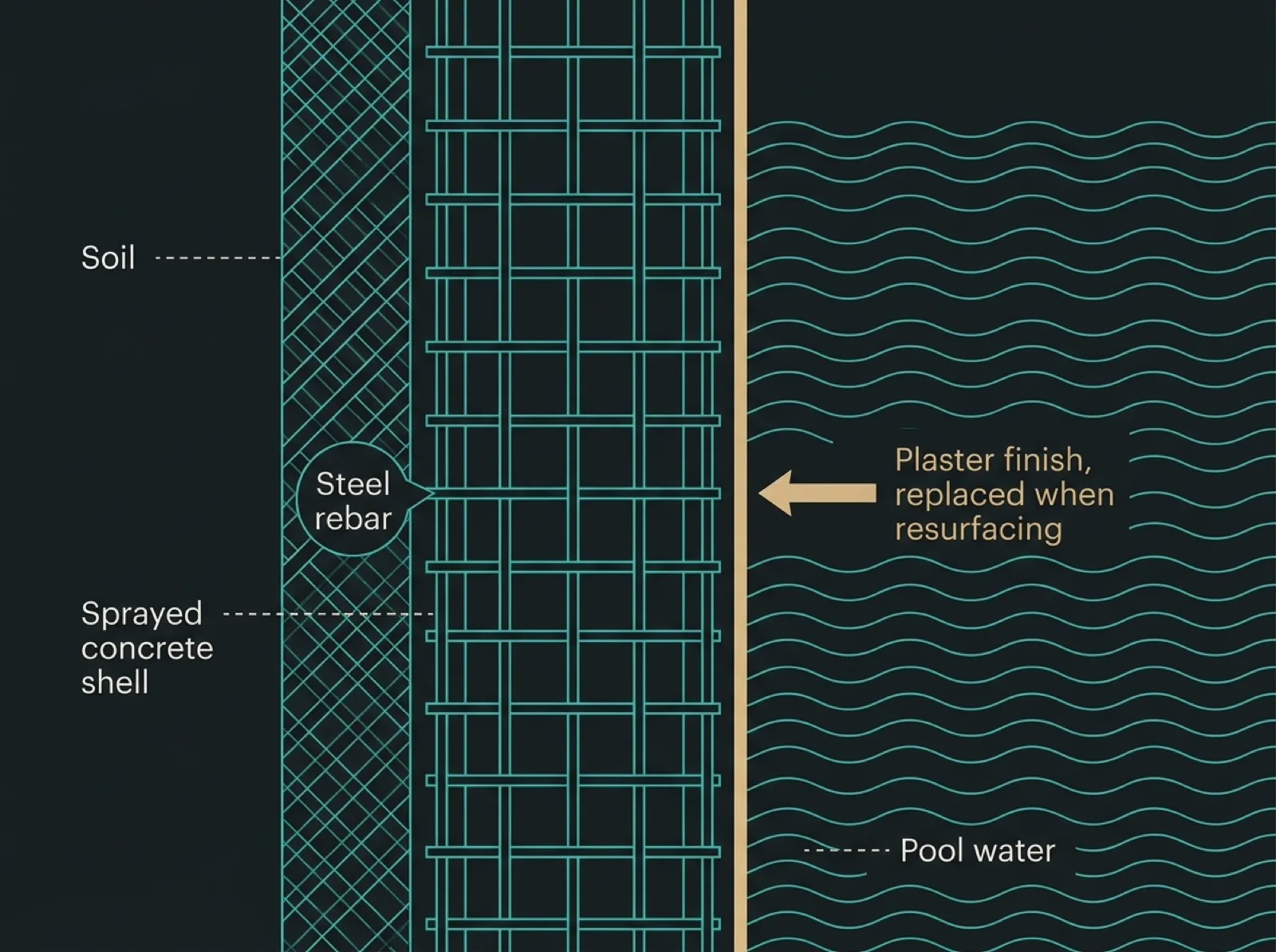 Flat cross-section diagram of a concrete pool wall showing the steel rebar frame, the sprayed concrete shell around it, the thin plaster finish layer on the water side, and the water