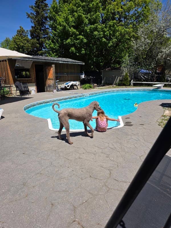Aquablock Pools project photo