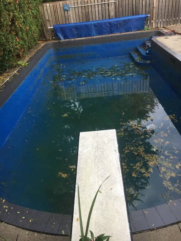 GTA Pool Demo project photo 4