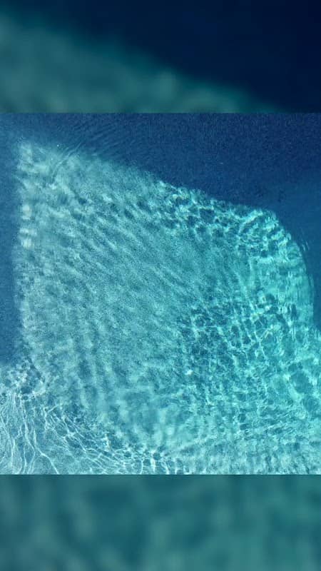 Main Street Pool & Spa project photo 4
