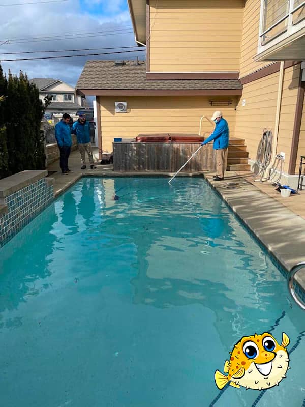 Puddle Pool Services project photo 2