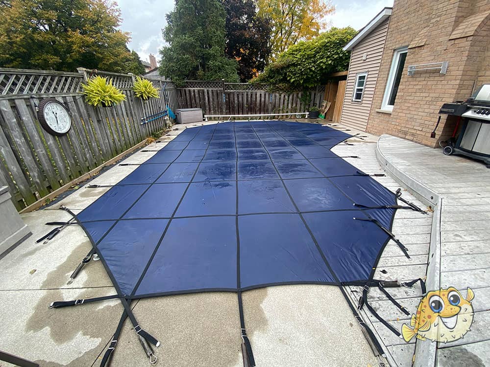 Puddle Pool Services project photo 2